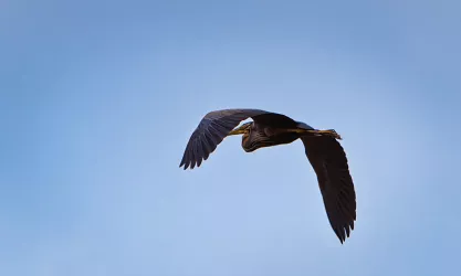 Nachenfahrt Tierwelt-1553