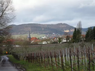 Ortsansicht Landau-Godramstein (© Schweikart)